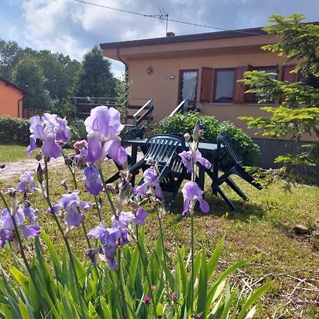 Chalet Grazia Valgiano エクステリア 写真