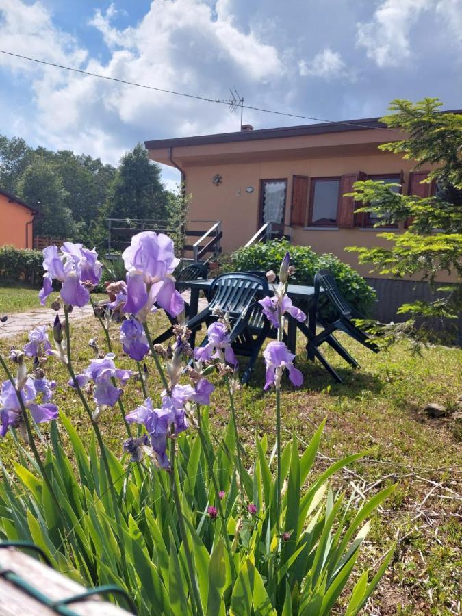 Chalet Grazia Valgiano エクステリア 写真